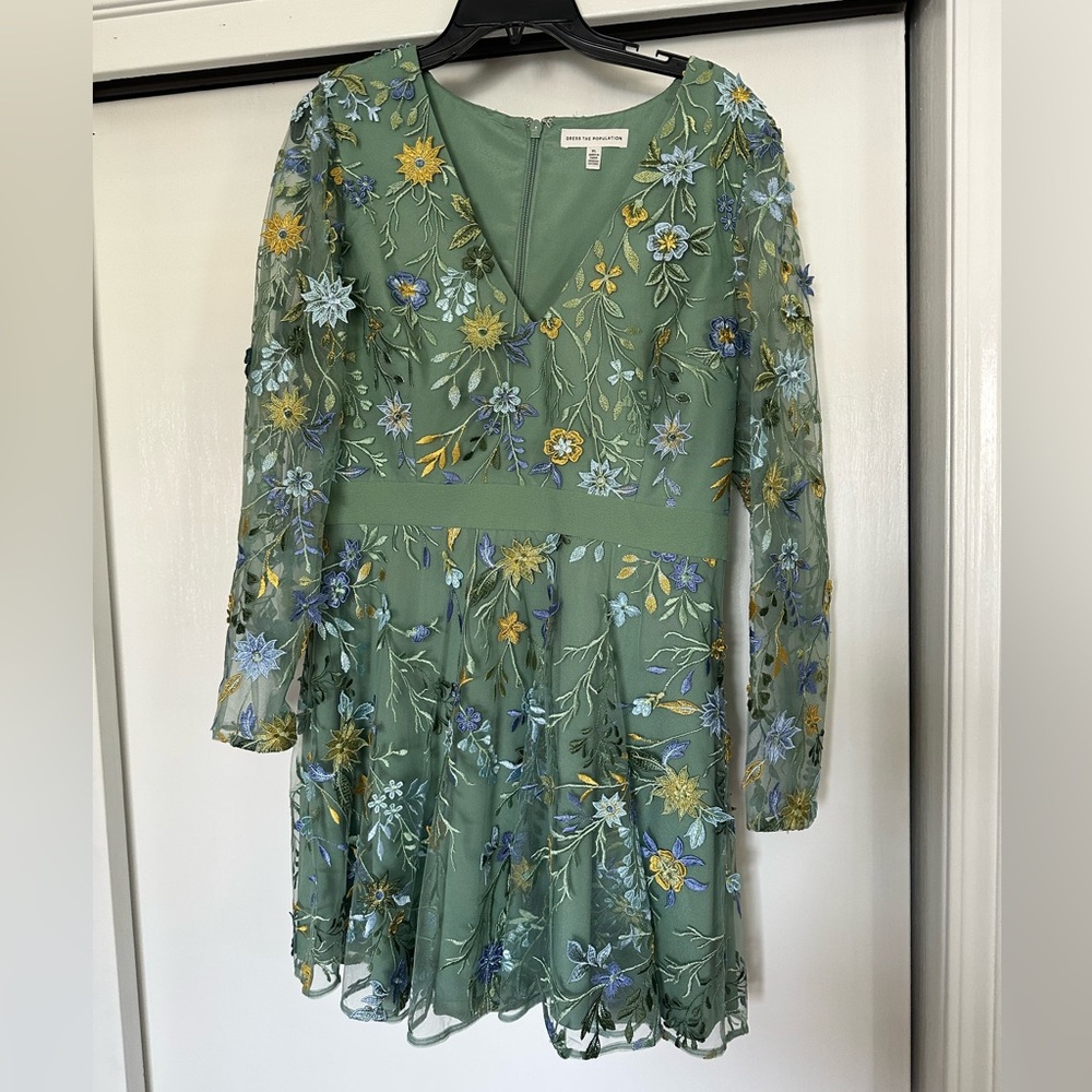 Dress the Population Sage Green Embroidered Dress